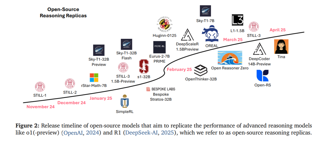 Tina: A Lightweight Inference Model Based on LoRA