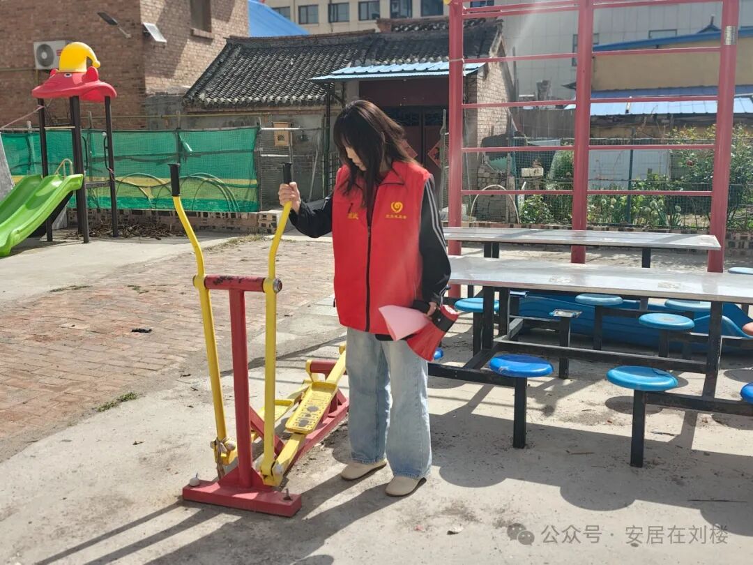 Embedded Services: Strengthening Security Networks through Poppy Inspections