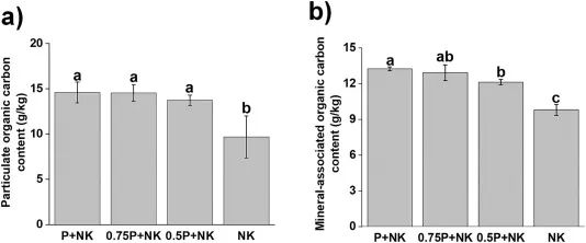 Regulation of Soil Organic Carbon Physical Fraction Sequestration by Phosphorus Fertilizer Input Level through Microbial Community Influence