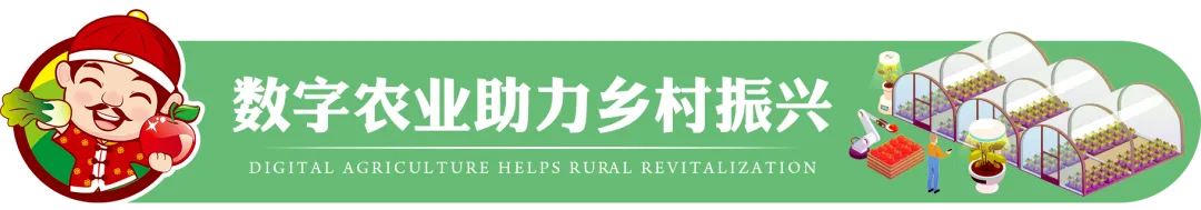 IoT Sensors: How the 'Invisible Steward' Works in Agriculture