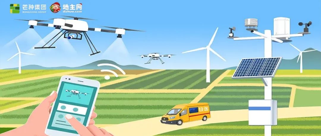 IoT Sensors: How the 'Invisible Steward' Works in Agriculture