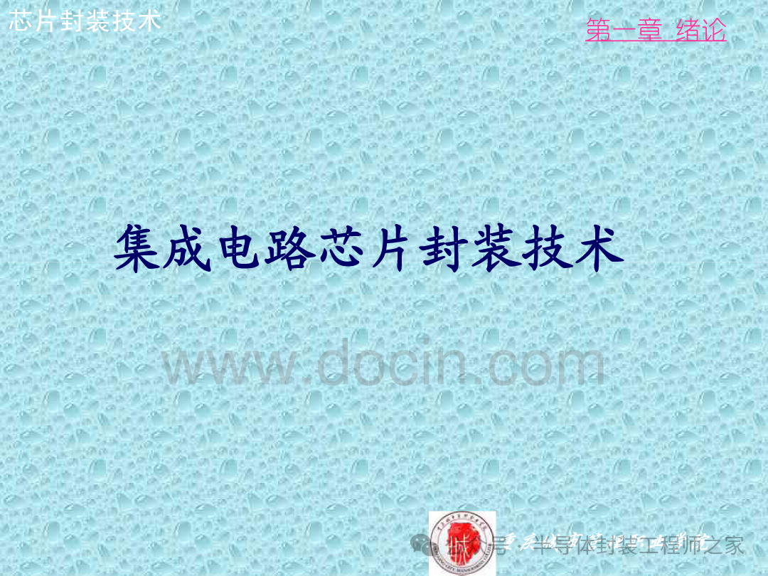 Integrated Circuit Chip Packaging Technology