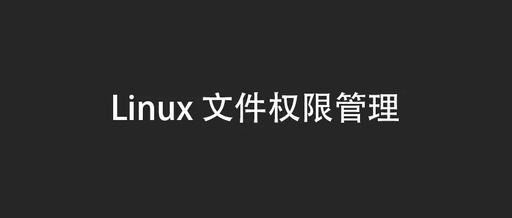 Linux File Permission Management