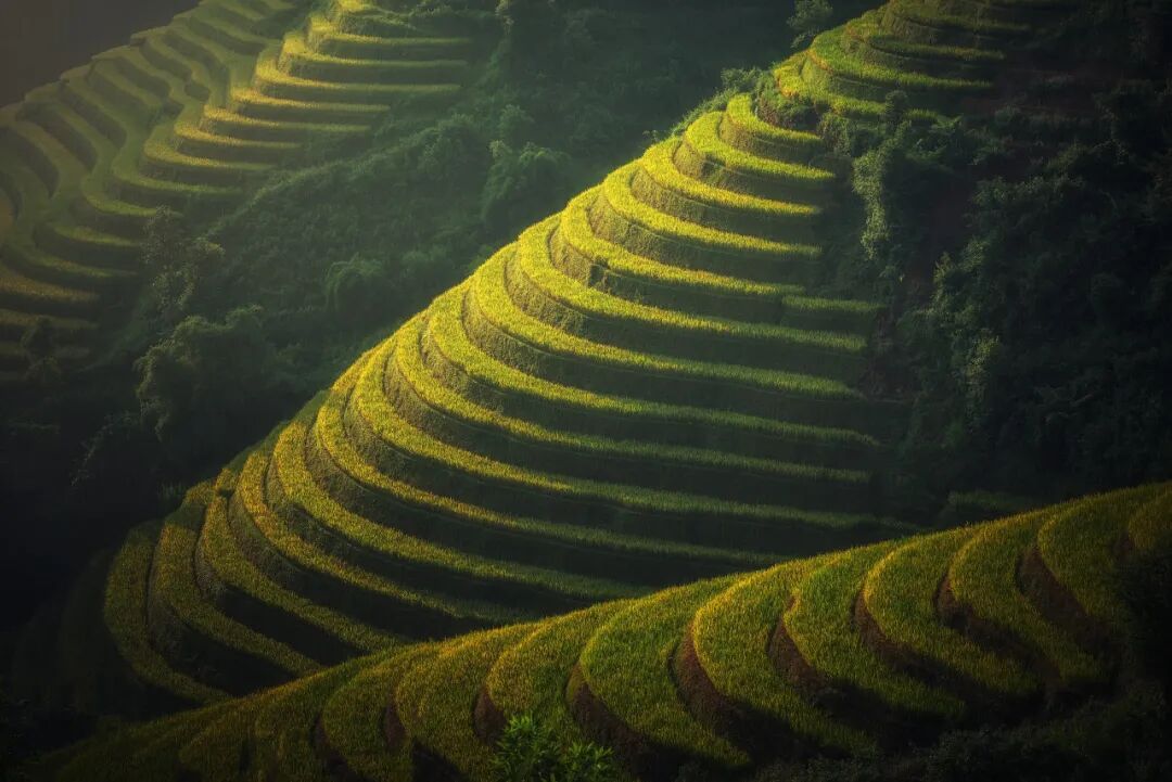 Understanding Carbon Neutrality and Its Implications for Climate Change