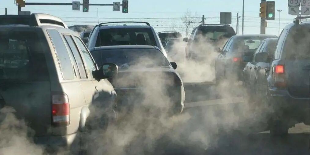 Understanding Carbon Neutrality and Its Implications for Climate Change