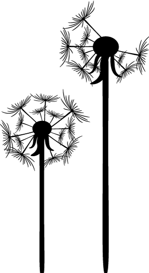 High-Performance HTTPS Server Optimization and Improvements Based on Hyper with Public Network Access and Multi-Domain Support for HTTP/3 and HTTP/2
