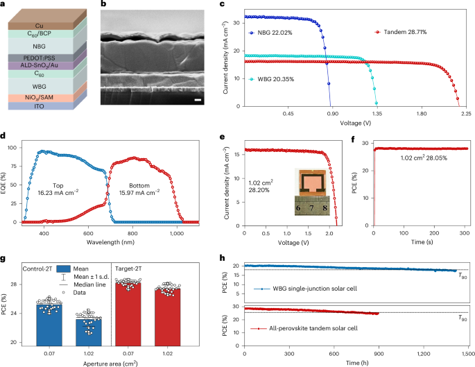 Wuhan University Research Published in Nature Nanotechnology!