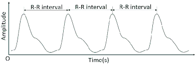 How Smartwatches Monitor Your Heart Rate, Blood Oxygen, and ECG?