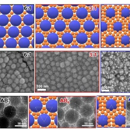 Fatigue-Free and Skin-like Supramolecular Ion-Conductive Elastomeric Interphases for Stable Lithium Metal Batteries