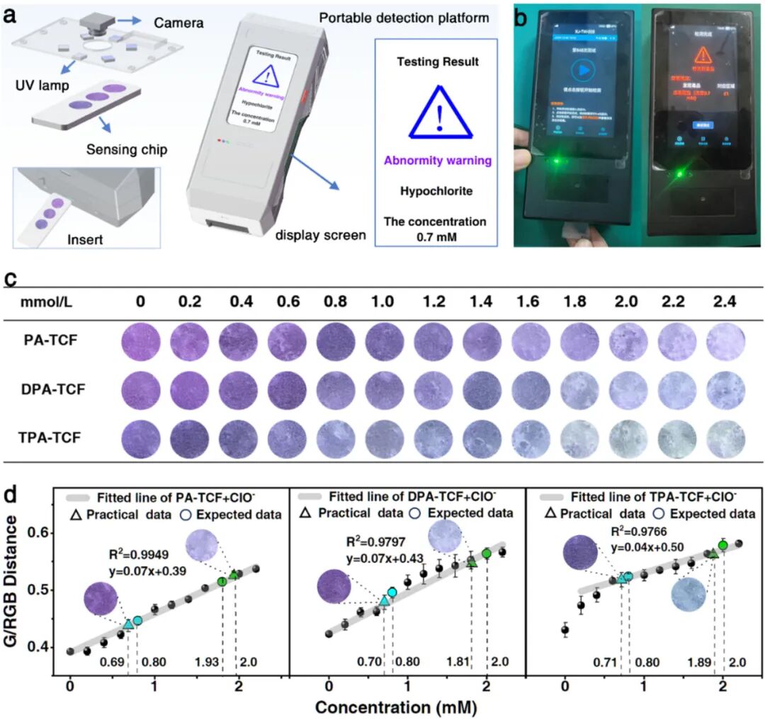 Triple-Standard Hypochlorite Quantitative Array Enabled by Precise Stokes Shift Modulation in D-π-A Chemodosimeters