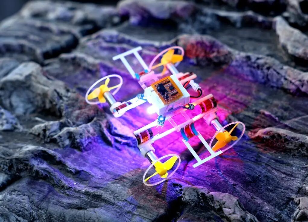 Introducing a 9 cm, 25 g Micro Wireless Amphibious Robot!