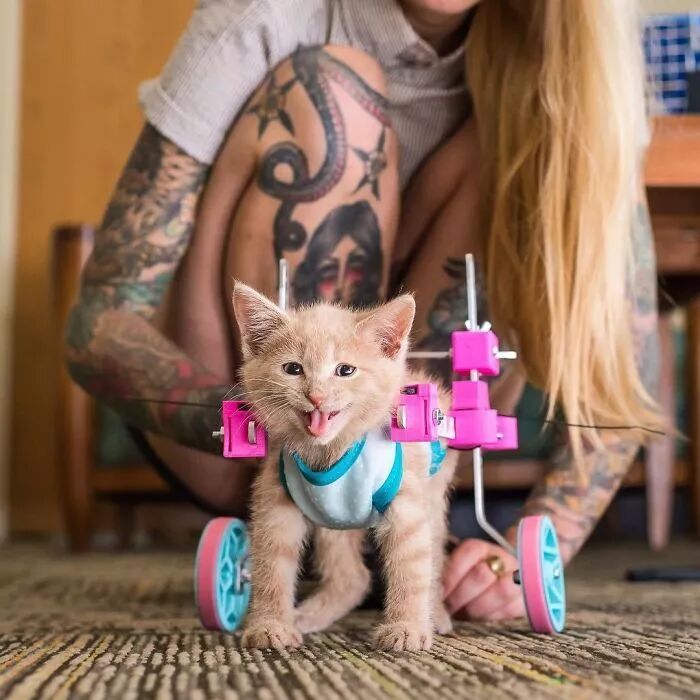 What Can 3D Printing Do? 30 Images to Experience the Marvel of Technology and Creativity!