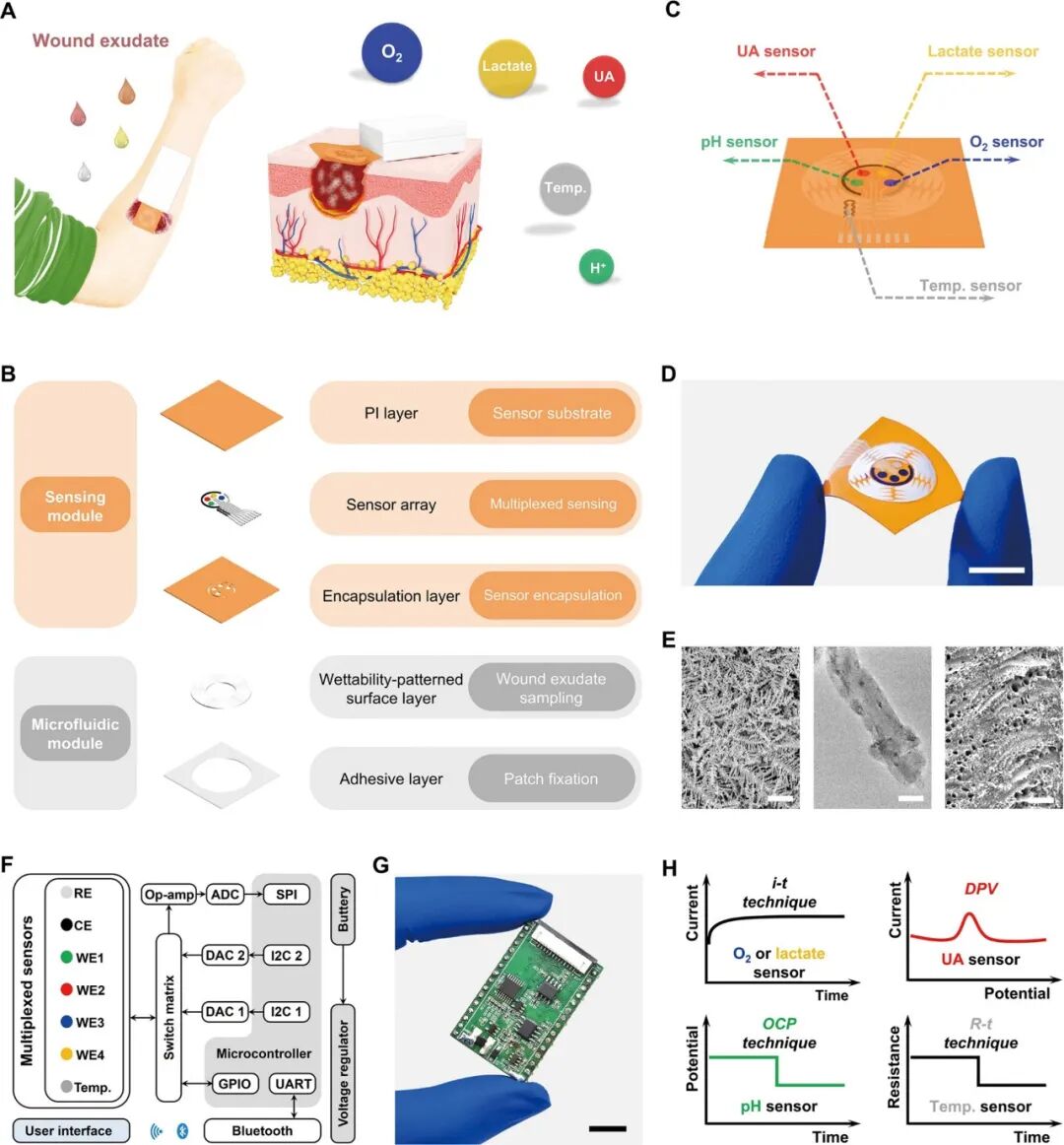 ACS Nano: A Fully Integrated Wearable Biomimetic Microfluidic Wound Tracker for In Situ Dynamic Monitoring of Wound Exudate Oxygen