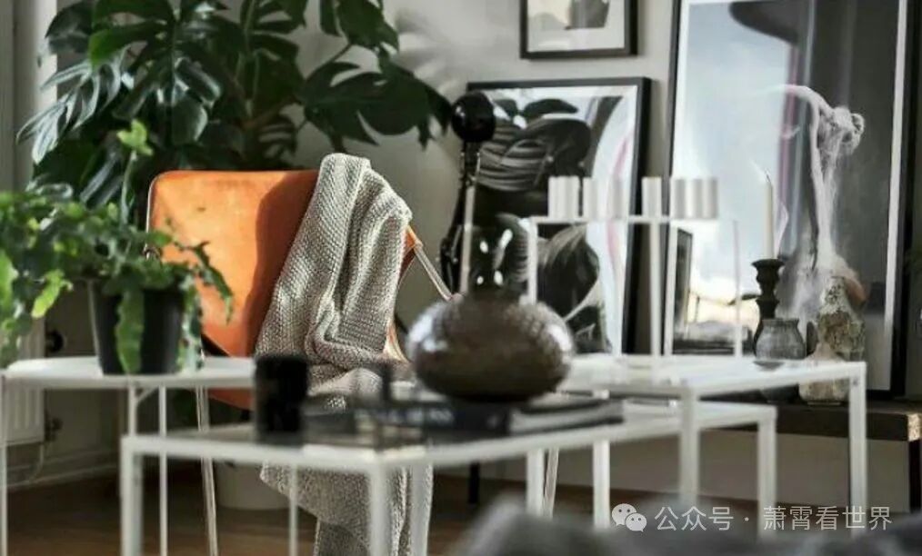 Must-See for Small Apartments! 5 Mini Green Plants to Brighten Your Desk and Heal Your Day!