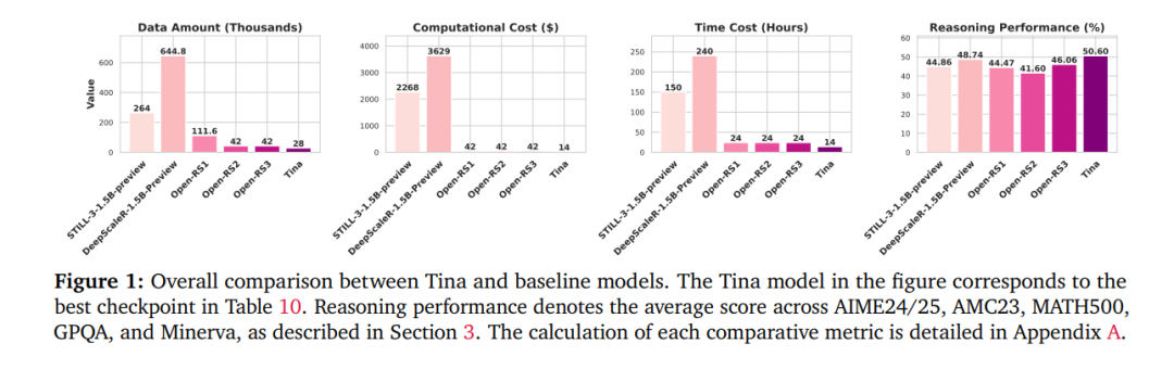Tina: A Lightweight Inference Model Based on LoRA