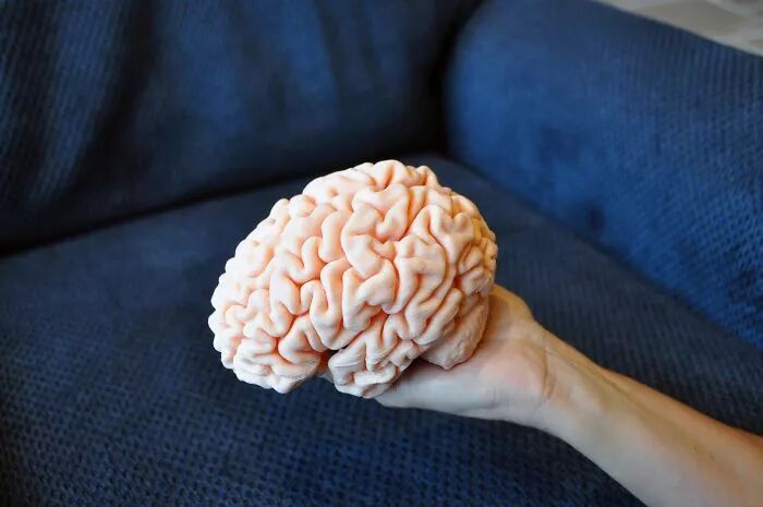 What Can 3D Printing Do? 30 Images to Experience the Marvel of Technology and Creativity!