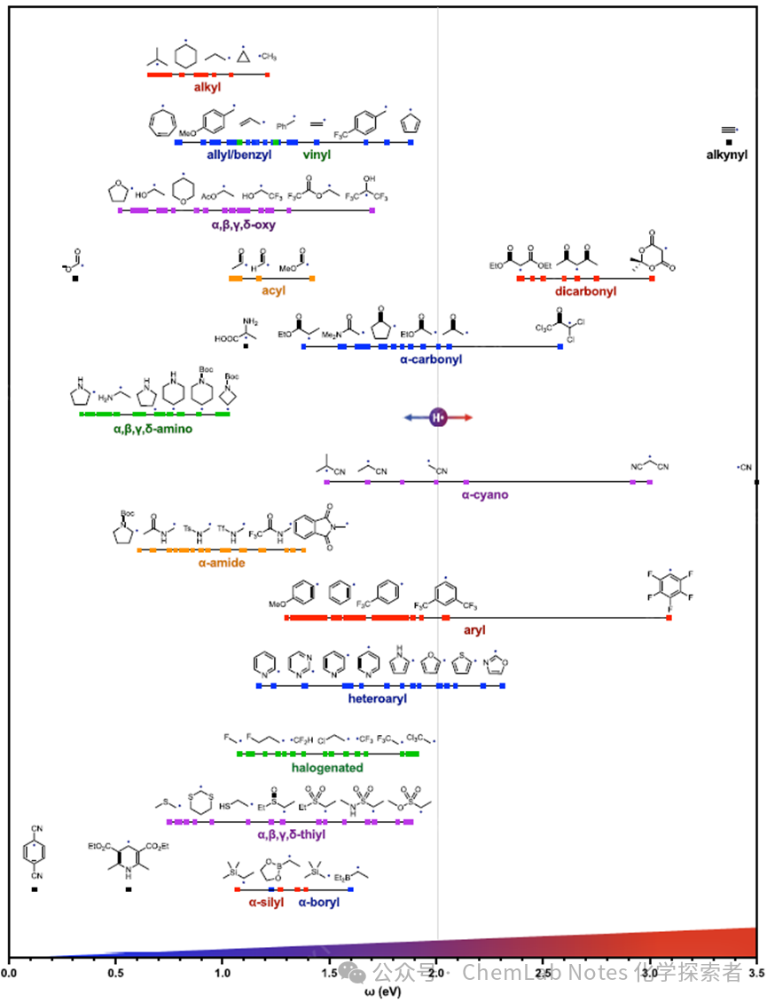 The Latest and Most Comprehensive Study on the Polarity of Free Radical Intermediates