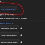 Mastering Network Requests in Flutter: A Comprehensive Guide to the HTTP Package