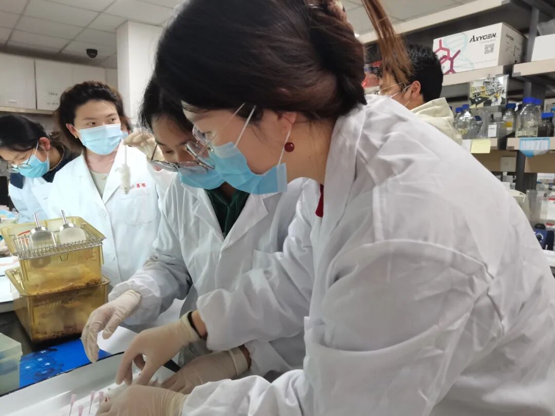 Shanghai Jiao Tong University - Qingpu Senior High School "Innovation Training Camp" Successfully Concludes