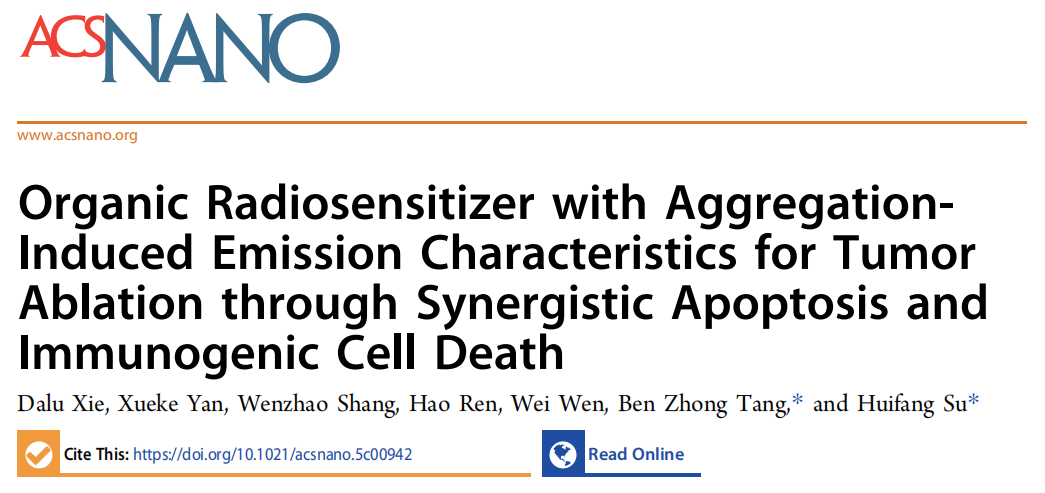 Organic Radiosensitizer with Aggregation-Induced Emission Characteristics for Tumor Ablation through Synergistic Apoptosis and Immunogenic Cell Death