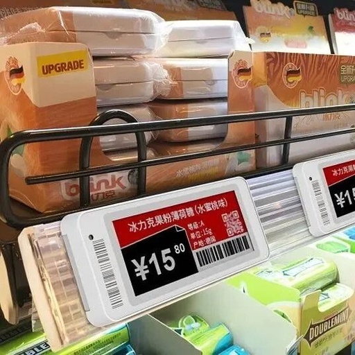 Huike and E Ink to Establish Electronic Paper Production Base in Guizhou