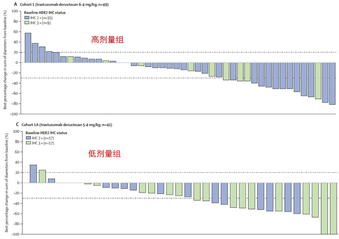 Lancet Oncology Publishes! Efficacy and Safety of DS-8201 in Treating HER2-Positive Lung Cancer