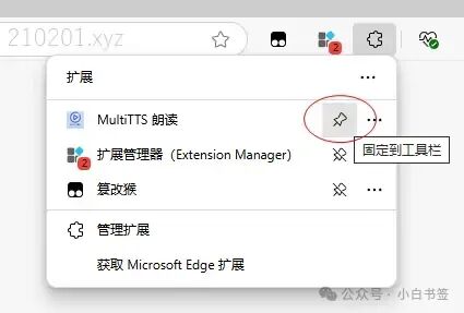 Introducing MultiTTS for Desktop: A Powerful TTS Text-to-Speech Browser Extension