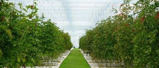 Intelligent Plant Factory in Haining Utilizing AI and Robotics!