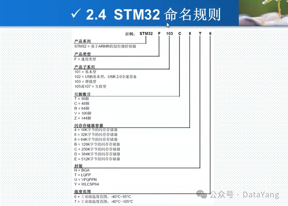 2. Naming Conventions of STM32 and the Architecture of Cortex-M3 Chips