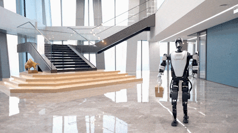 The World's First Robot Marathon: Which 'Competitors' Will Shenzhen Send?