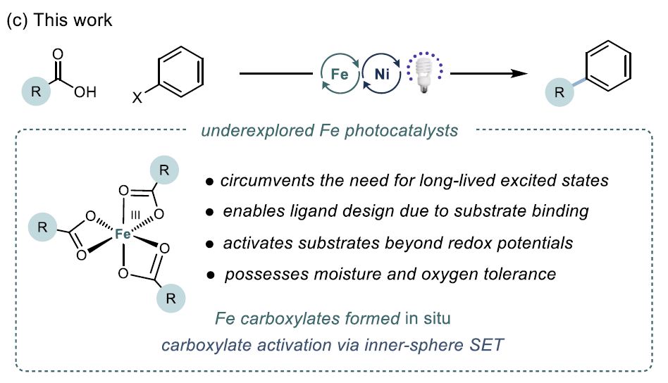 Inexpensive Fe/Ni Enables Decarboxylative Cross-Coupling Reaction!