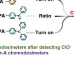 Triple-Standard Hypochlorite Quantitative Array Enabled by Precise Stokes Shift Modulation in D-π-A Chemodosimeters