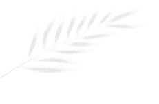 Extracting Technological Experience: The Rise of South Korea's Semiconductor Industry and Key Practices and Insights from the Government-Industry-Academia Innovation Consortium