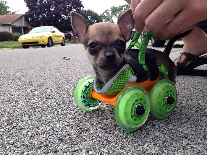What Can 3D Printing Do? 30 Images to Experience the Marvel of Technology and Creativity!