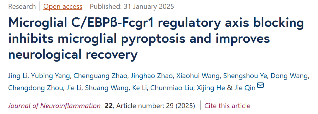 Blocking the C/EBPβ-Fcgr1 Regulatory Axis Inhibits Microglial Pyroptosis and Improves Neurological Recovery