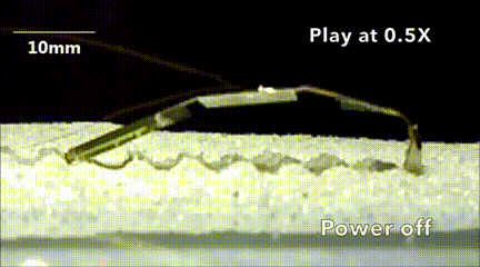 University of Pittsburgh's Miniature "Insect" Robot: Amphibious and Capable of Performing Tasks in Tight Spaces