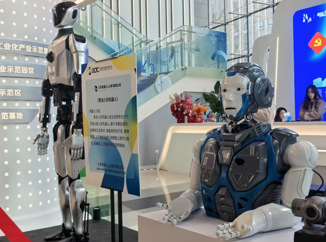 Can We Expect Elderly Care Robots? This Forum Focuses on Embodied Intelligence