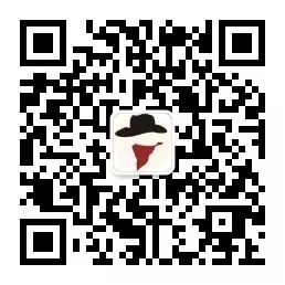 The Social Chip