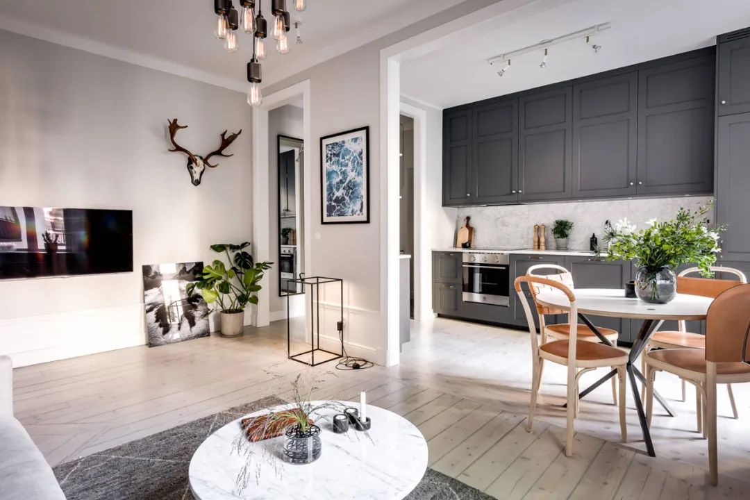 Essential Guide to Home Renovation: From Embedded Appliances to Pet Devices
