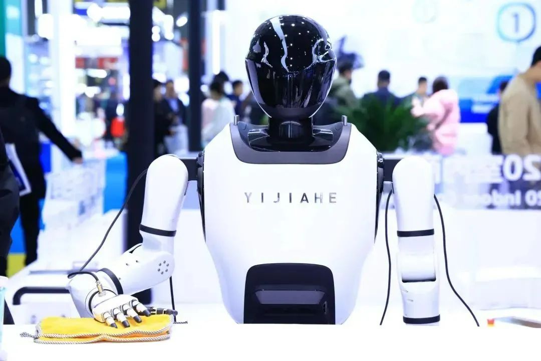 Are You Looking Forward to Elderly Care Robots?
