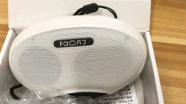 Bluetooth Speaker - Vanding F208: Shell-Shaped Design with Dual Speaker Configuration for Superior Sound