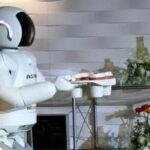 Why Has the Development of Humanoid Robots Suddenly Accelerated?