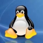 Basic Principles of Linux Permission Control