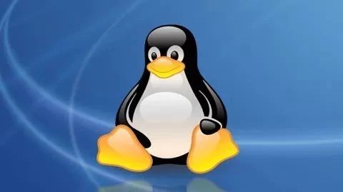 Basic Principles of Linux Permission Control