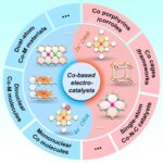 Review by Professor Cao Rui from Shaanxi Normal University! Solving the Selectivity Challenge of Oxygen Reduction Reactions! Precise Control of Cobalt-Based Catalysts for Two-Electron and Four-Electron Pathways