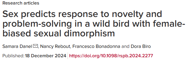 Female Antarctic Skuas Excel in Problem Solving and Novelty Acceptance