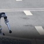 Robots Team Up for a Marathon: A Large-Scale "Performance"