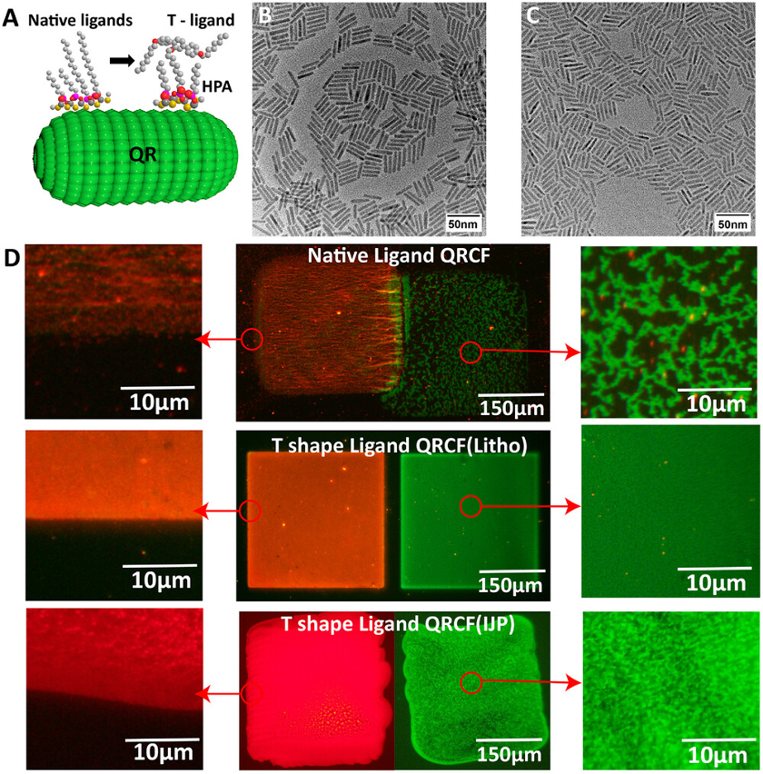 Hong Kong University of Science and Technology Advanced Science: High-Performance Displays Using Polarized Color Filters with Colloidal Quantum Rod Nanocrystals