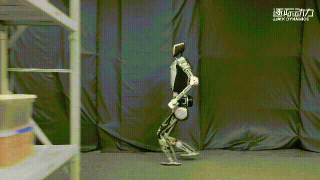 The World's First Robot Marathon: Which 'Competitors' Will Shenzhen Send?