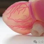 3D Printed Organs: A Revolutionary Breakthrough in Transplant Medicine